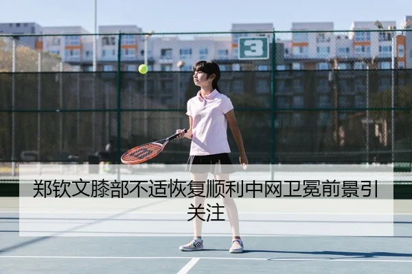 郑钦文膝部不适恢复顺利中网卫冕前景引关注 | MKSPORTS